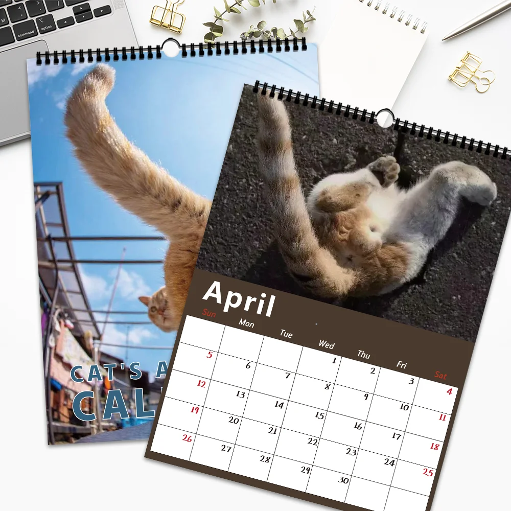 

1 шт. Настенный календарь с забавным котом — тема домашнего кота, 12 разных дизайнов, подходит в подарок на дни рождения, Рождество и Новый год