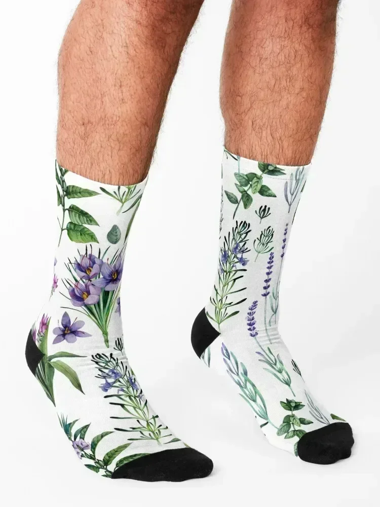Акварель ботаническая коллекция трав и специй Носки спортивные спортивные носки мужские носки женские