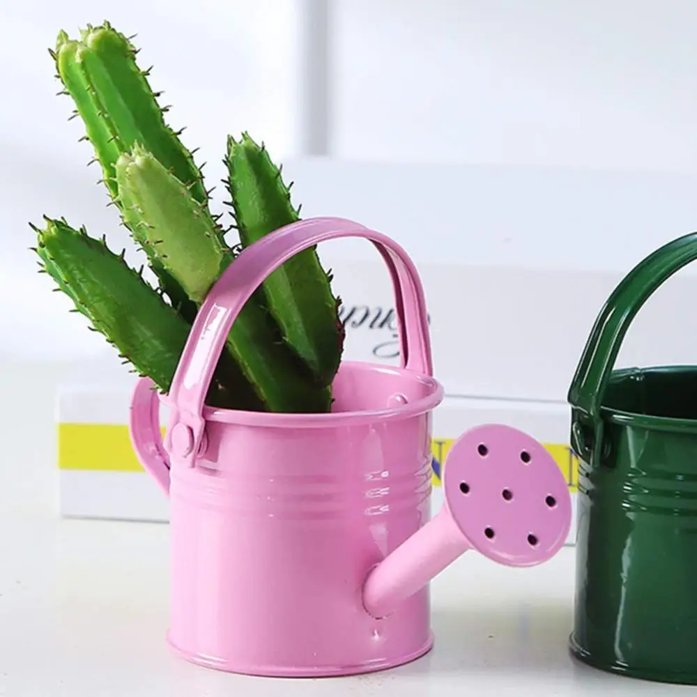 Vintage Mini Watering Can Multicolor Kawaii Flower Kettle Metal Water Spraying Pot Watering Irrigation Supplies Garden Supplies