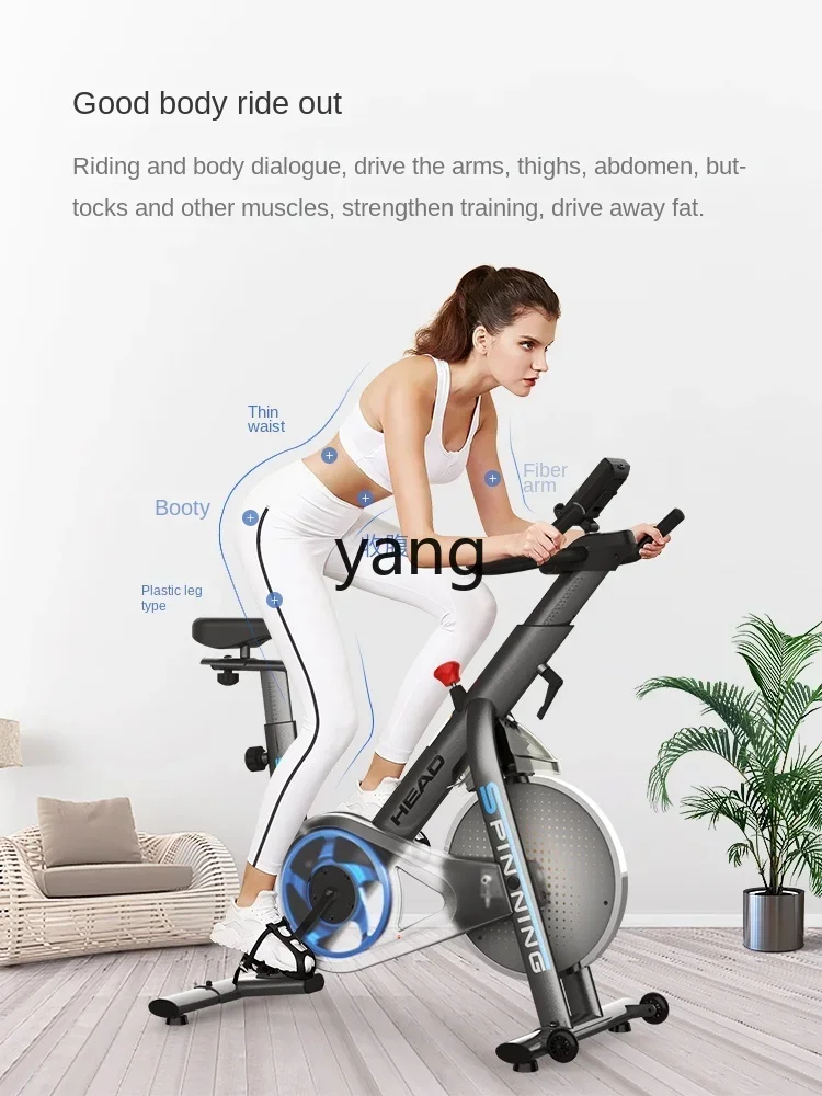 LH Home Gym Spinning Bike, Small Indoor Fitness Equipment Bicycle