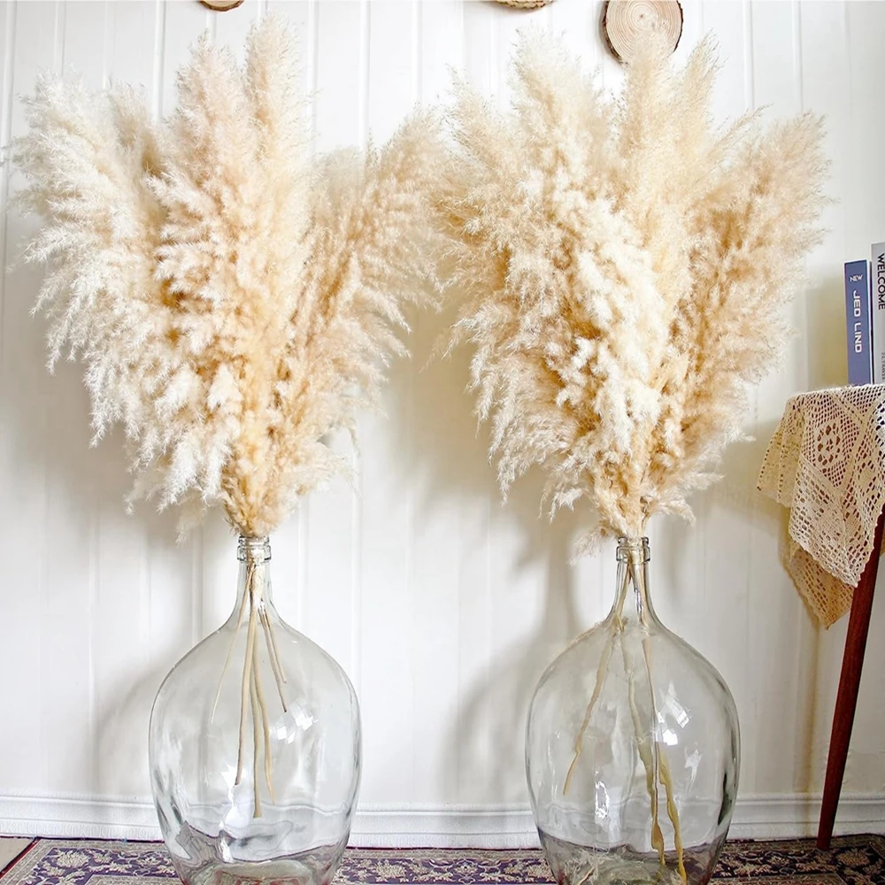 10 Pcs Pampas Grass Extra Large Natural White Grey Dried Flower Bouquet Fluffy for Home Boho Decor Wedding Flower Decorationr