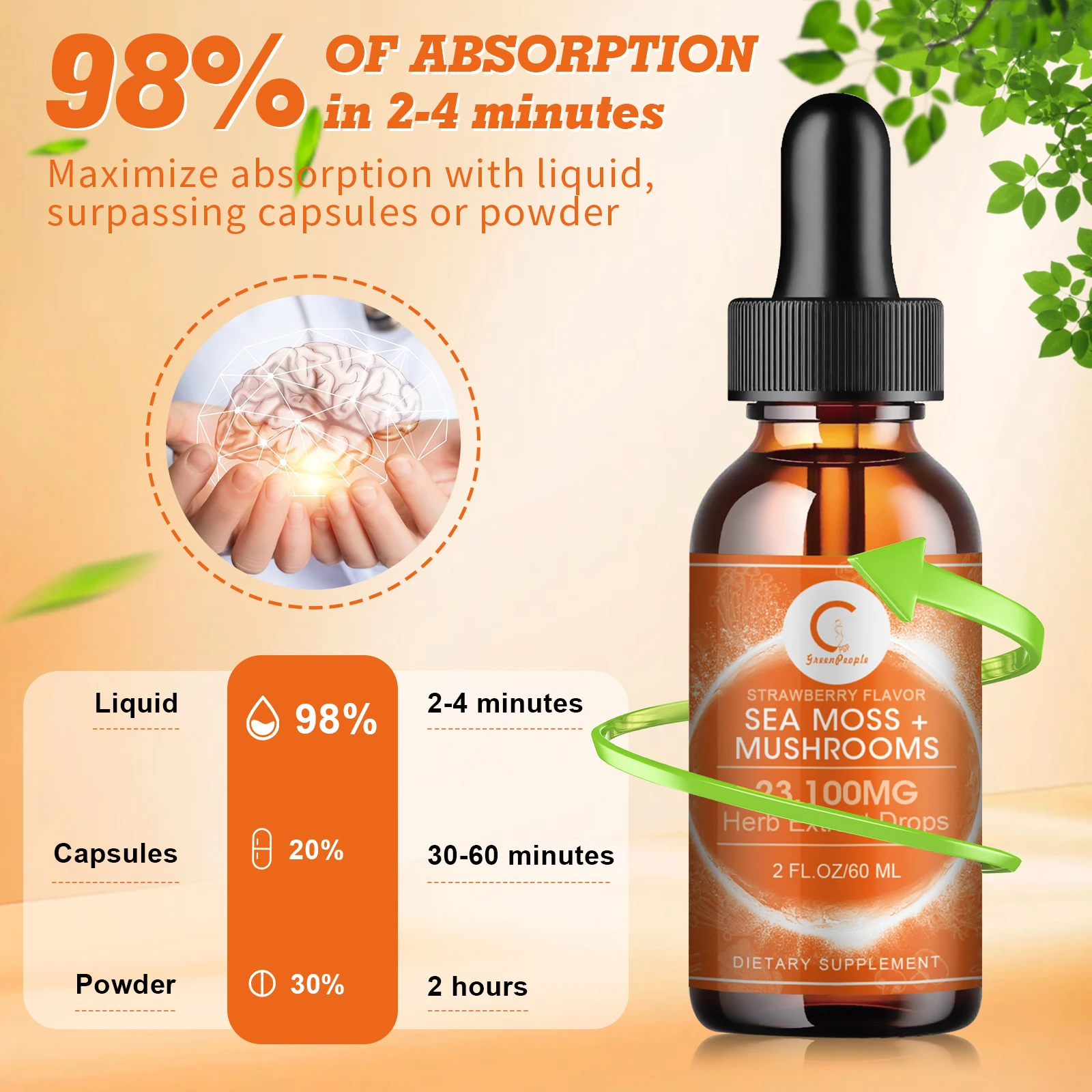 GPGP GreenPeople 60 مل قطرات طحالب البحر والفطر العضوية تدعم صحة الدماغ والعصبي، زيادة الذاكرة، وتحسين التركيز #3