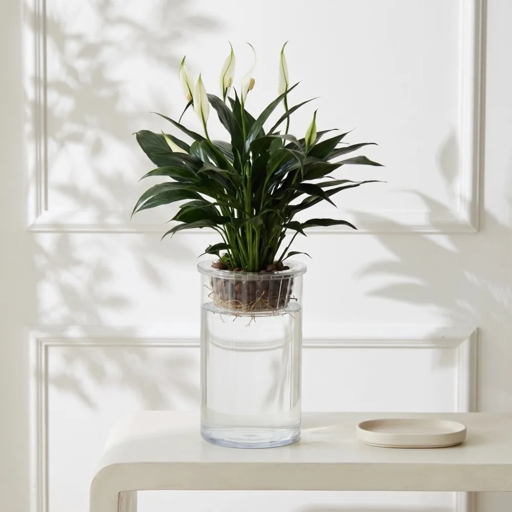 Clear Hydroponic Vase High Transparent Imitation Glass Mini Fish Tank Modern Decorative Lazy Flower Pot Indoor Garden