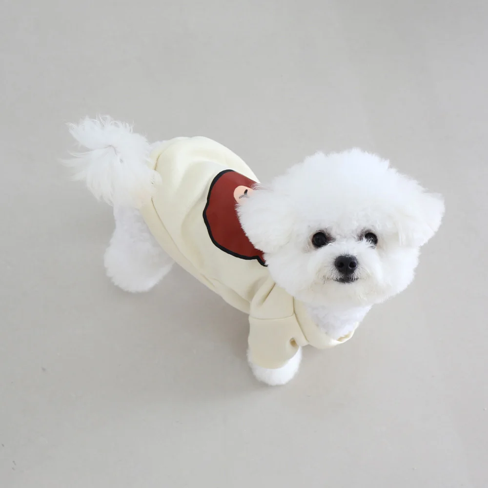 Autumn and winter pet clothes cute and stylish cartoon teddy bear round neck hoodie super cute cat and dog universal clothes