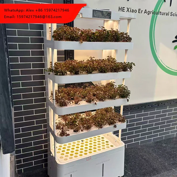

Hydroponic Kit Of Intelligent Planting System Automatic Indoor Soilless Vertical Vegetable Planter With Pump Core Assembly