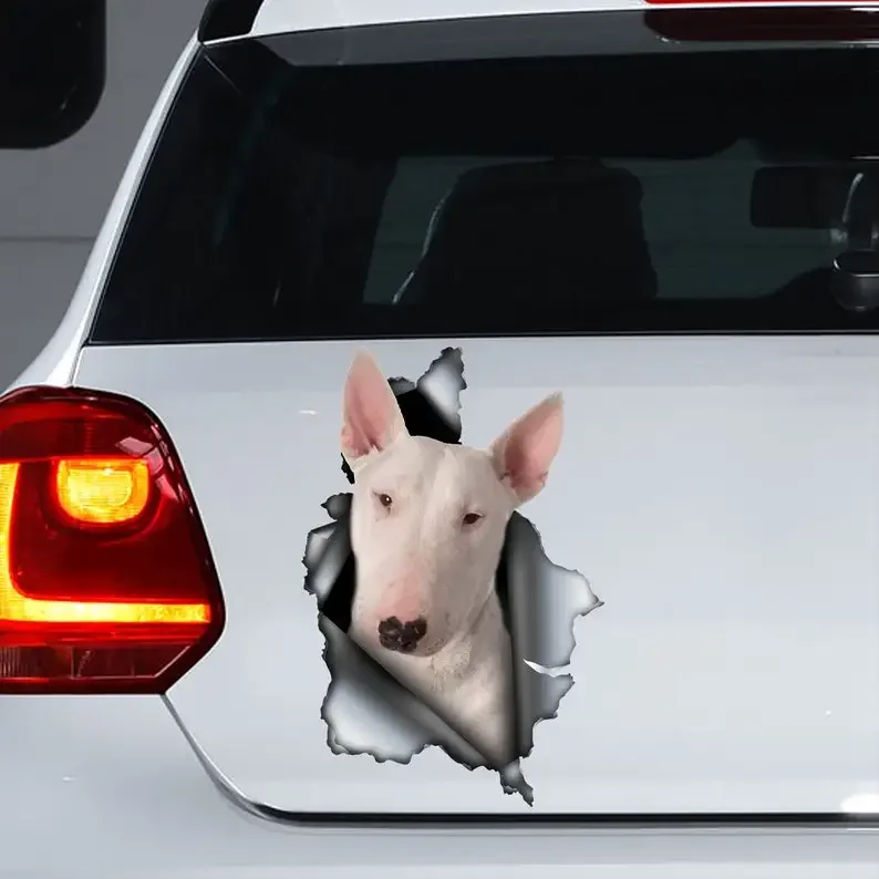 

White bull terrier decal, bull terrier magnet, bull terrier sticker,