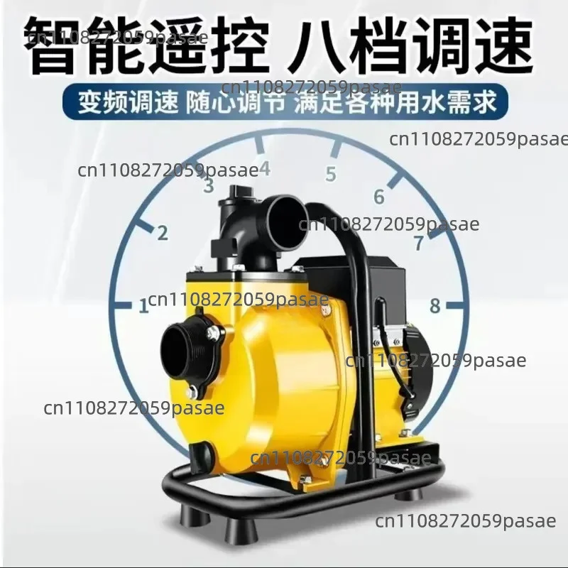 Intelligent permanent magnet brushless DC self-priming pump battery car pump high lift high power 48V60V72V two wheels three