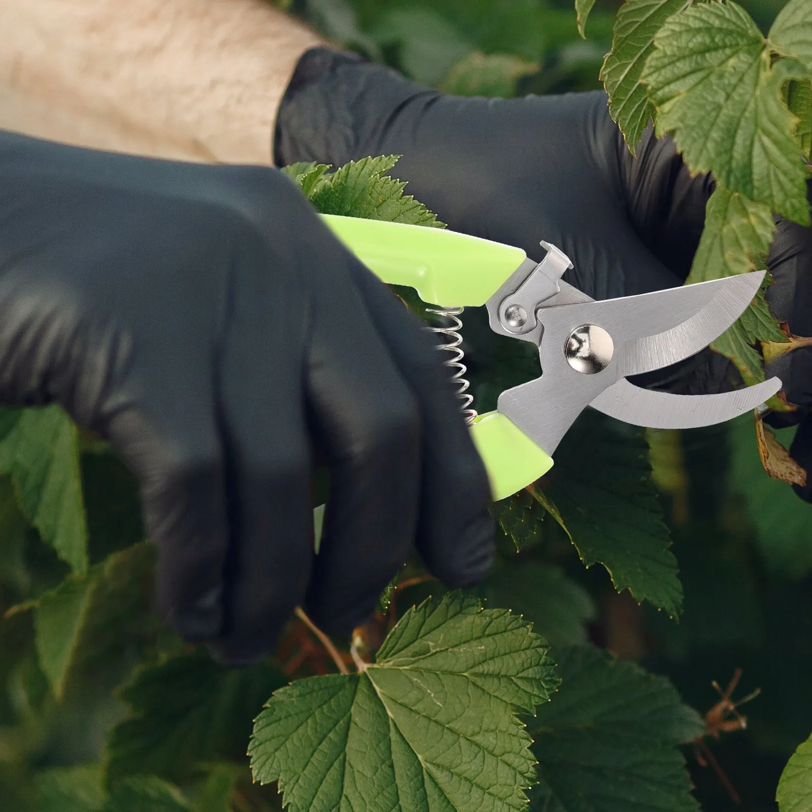 

2 Pcs Steel Pruning Shears Scissors for Flowers Plants Floral Arrangement Supplies Trimming Bonsai Gardening Tools