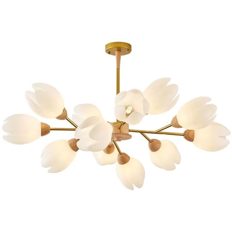 مصمم ضوء غرفة المعيشة الفاخرة الثريا غرفة الطعام غرفة النوم الرئيسية مصباح السقف المنزلي كاملة الراقية سيم الغلاف الجوي #6