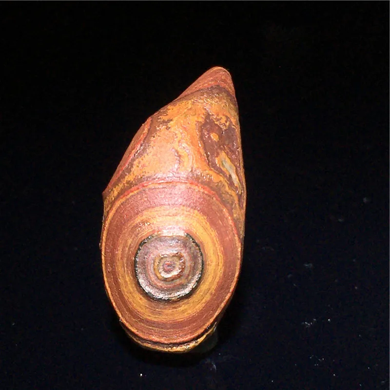 Mongolian Alxa Gobi Agate Stone Beads Pretty Colored Relief Original Jewelry Making Pendants Or Beads for Crafting - view 3