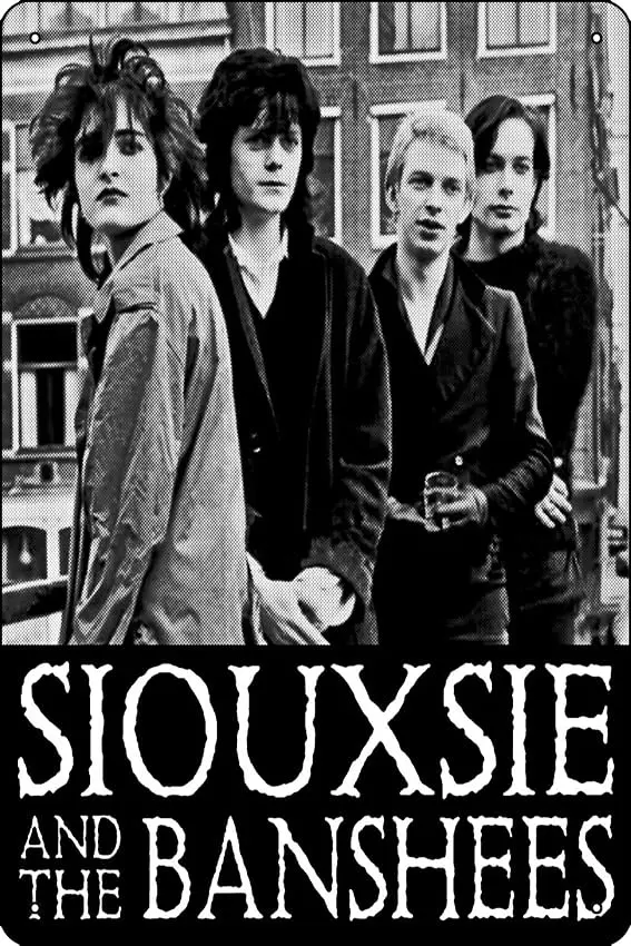 The Siouxsie and the Banshees Poster Metal Tin Sign 12 X 8 Inch Funny Man Cave Home Office Bar Decor