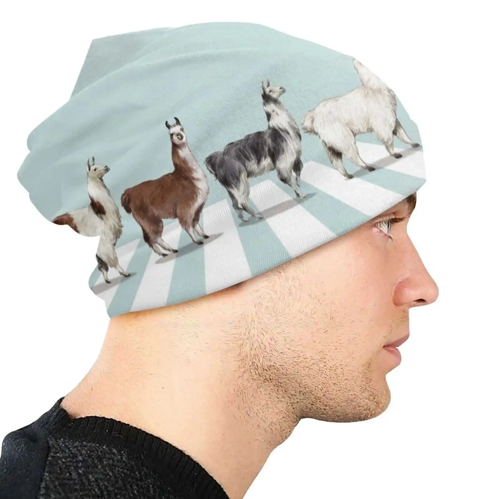 Lama o chapéu de malha #1, gorro quente, bonés ao ar livre, animais, bonito adorável, sorriso, trabalho grande nariz, engraçado kawaii, elétrico Lama Art I