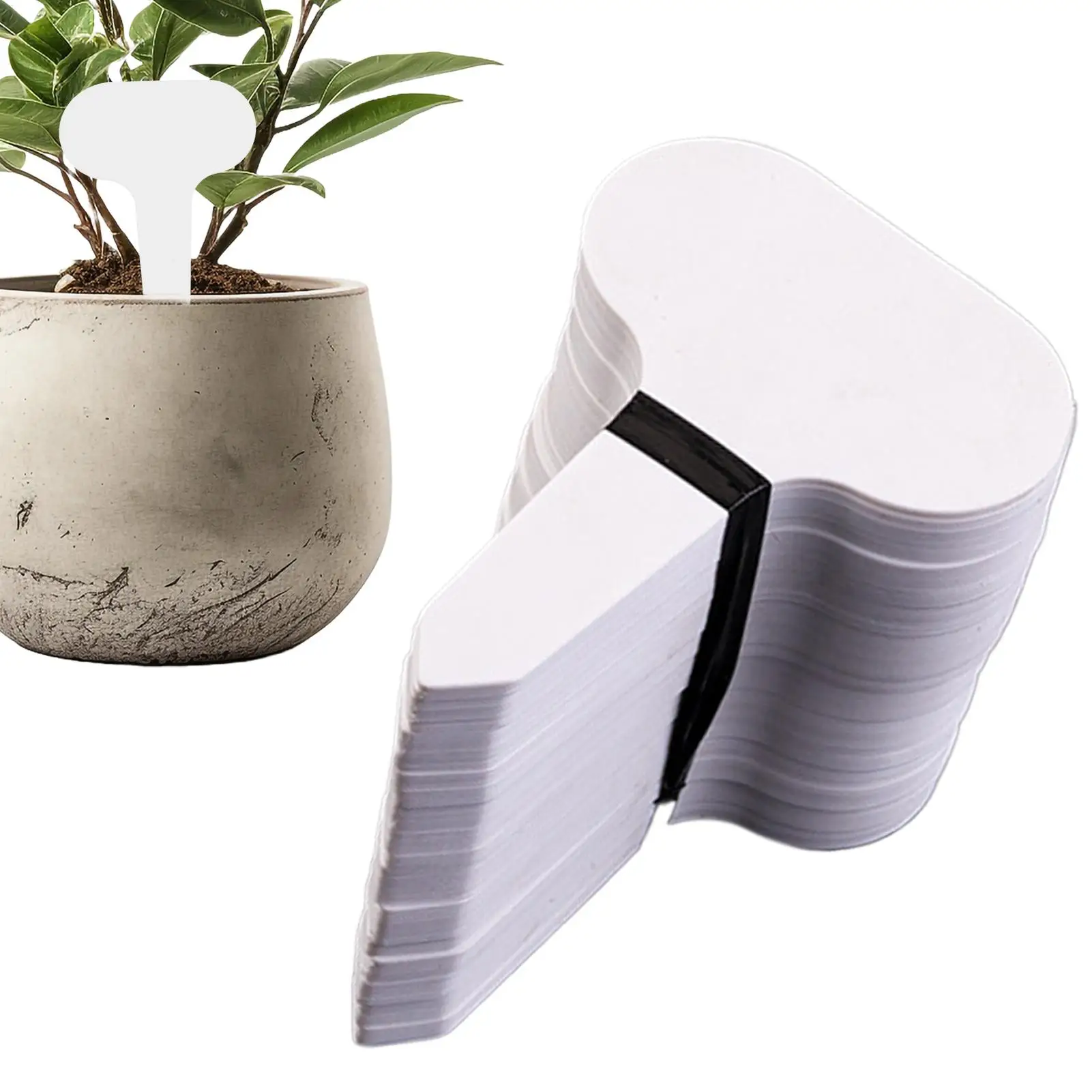 

100 шт., белые садовые этикетки, ПВХ, Т-образные бирки для растений, маркеры, этикетки для детского сада, поднос для рассады, украшения для горшков, садовые этикетки