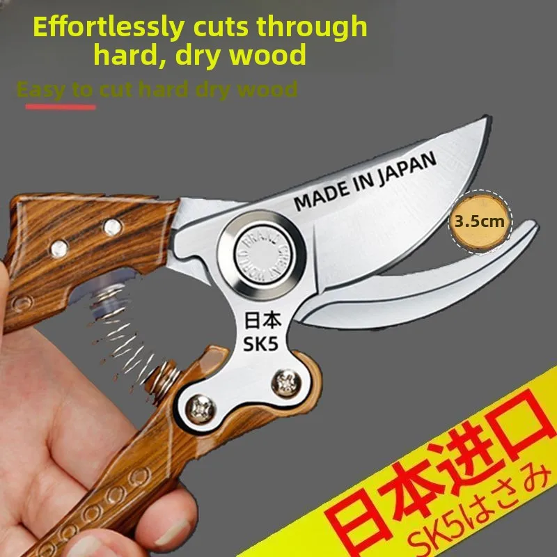 Imported From Japan…