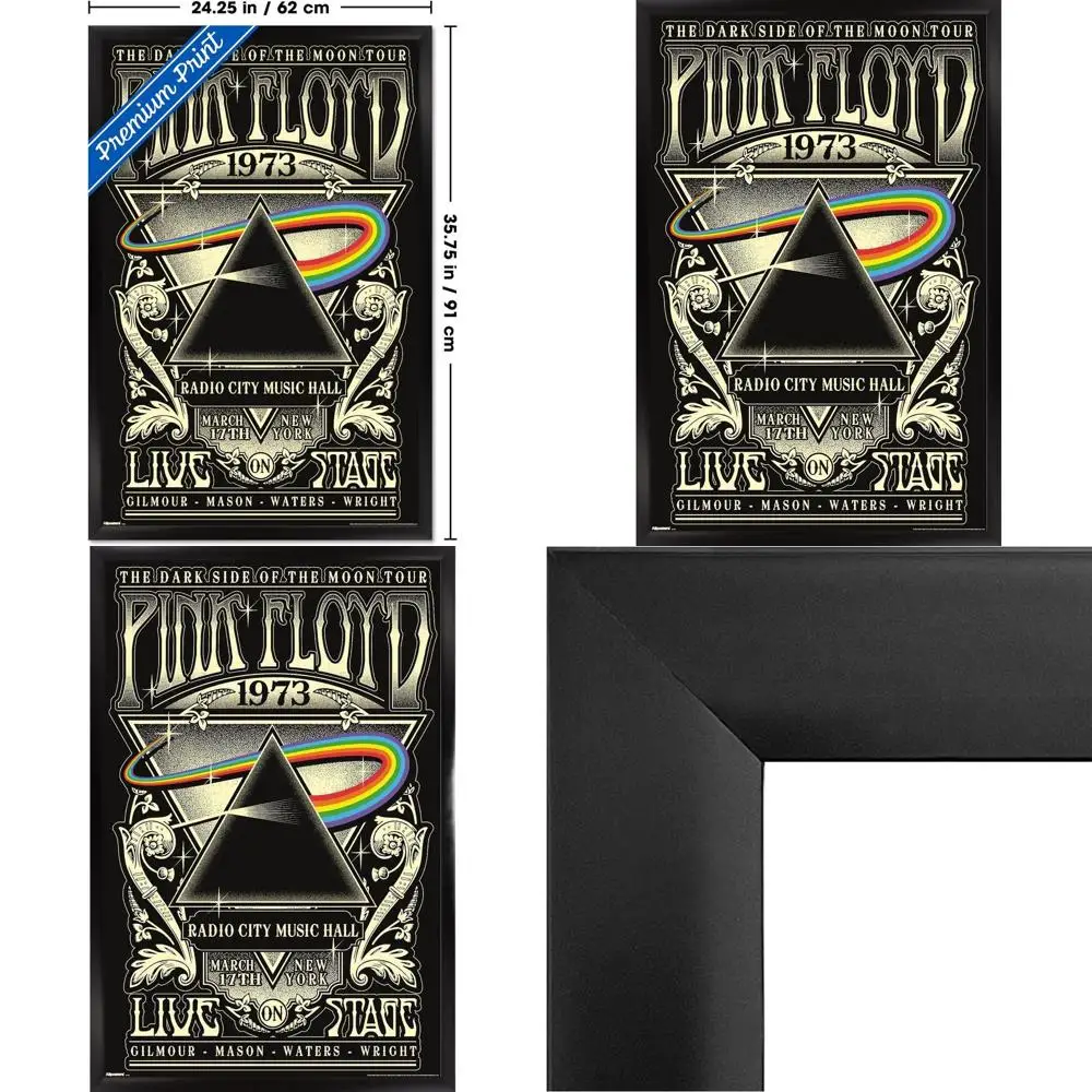 

1973 Pink Floyd Dark Side of the Moon Concert Poster, 34x22.4 Inches, Black Frame