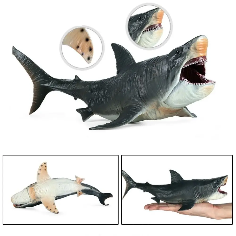 Simulation Megalodon Action Figure Movable Jaw Sea World Ocean Animals Model Realistic Educational Big Shark Figure Kids Toy