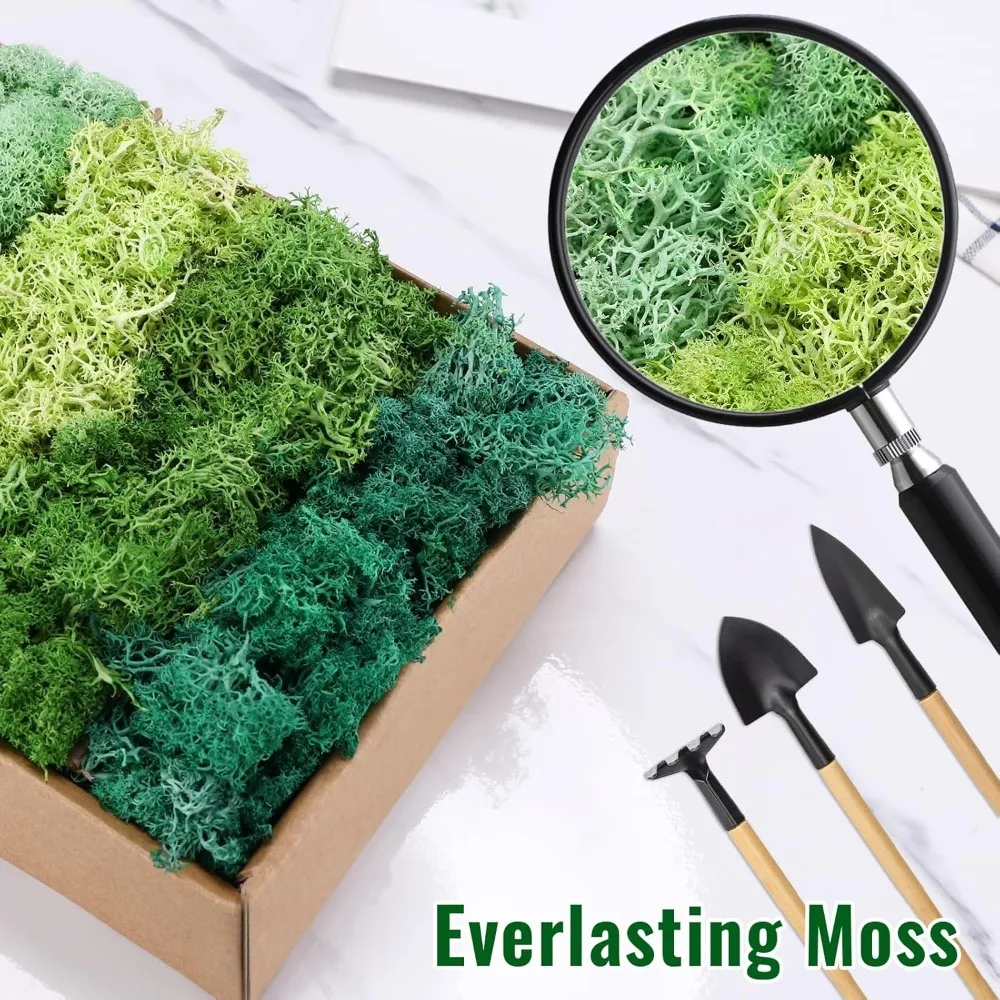 Mousse artificielle simulée en 5 couleurs, matériau de décoration artisanale adapté au terrarium, aux aménagements paysagers et aux projets botaniques DIY, largement utilisée pour les décorations d'intérieur, les centres de table de mariage et les présentations de style forestier.