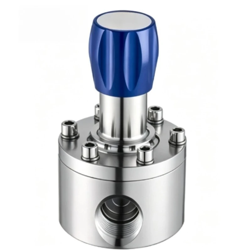 Stainless Steel Gas Liquid Back Pressure Valve, High Pressure High Temperature Internal Thread Back Pressure Valve