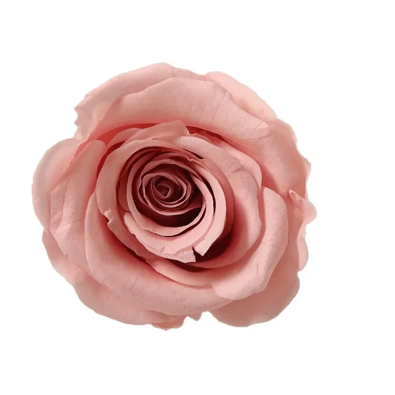 

Сухоцветы розы 3-4 см (10 штук) для подарочной коробки на День святого Валентина, набор для творчества, букет из стабилизированных цветов