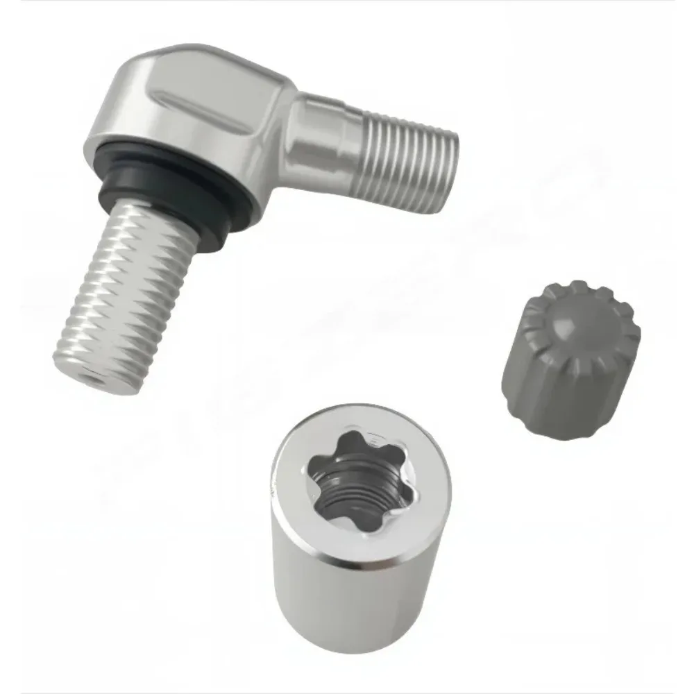 For BMW R1250 F750/850GS F900 C400 S1000RR Motorcycle Genuine Tire Pressure Valve Stems Brand New