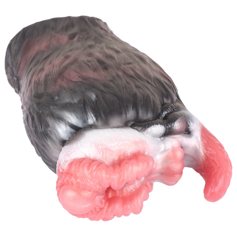 No image