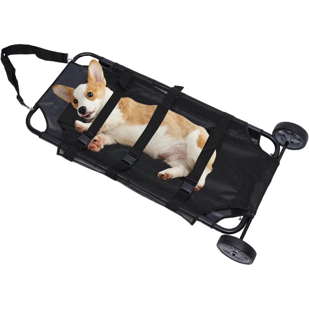 Large Dog Wheelchai… - image