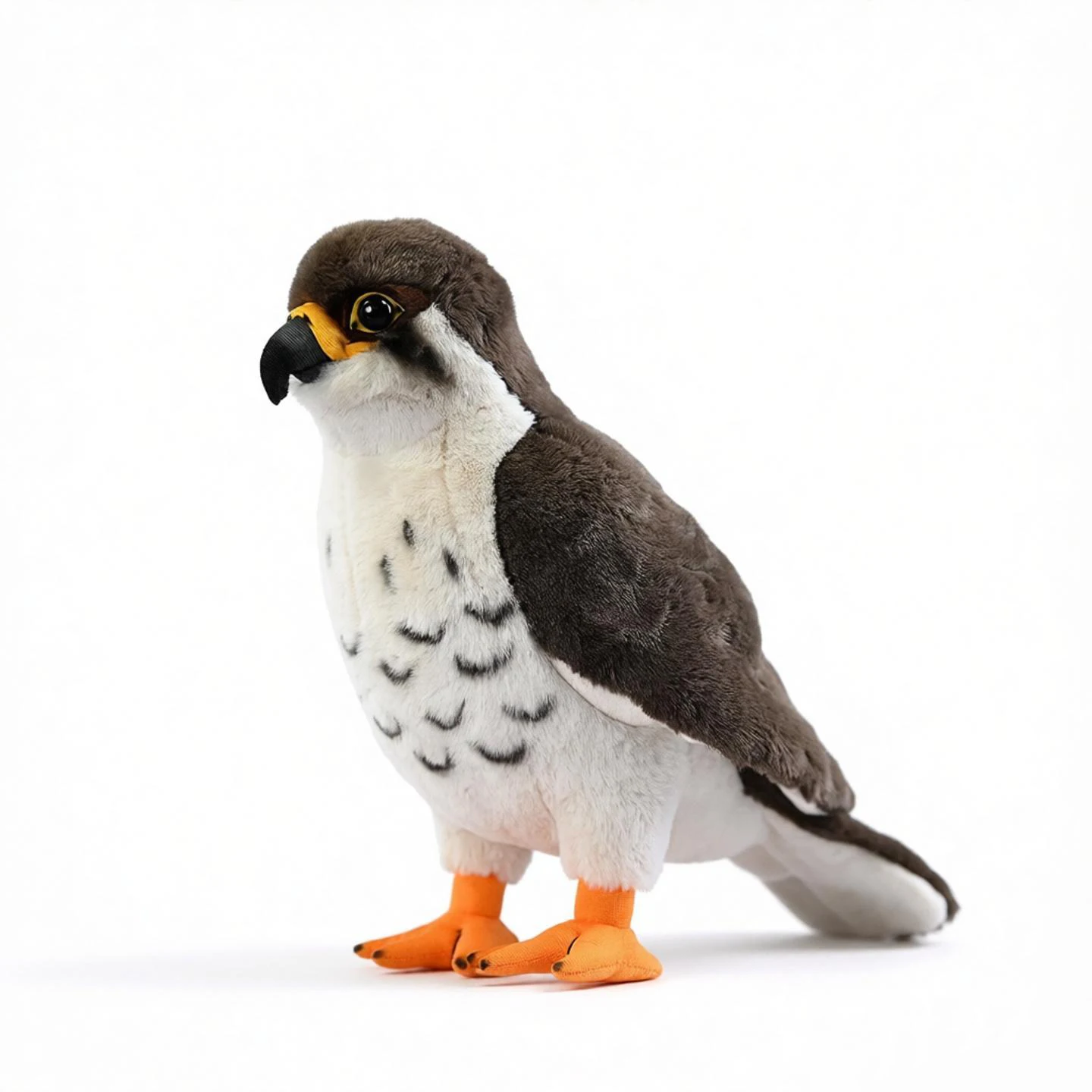 ハヤブサ、アヒル、ワシ、鳥、鷲、黒耳キート、野生、自然、ぬいぐるみ、動物、漫画、友人、ギフト