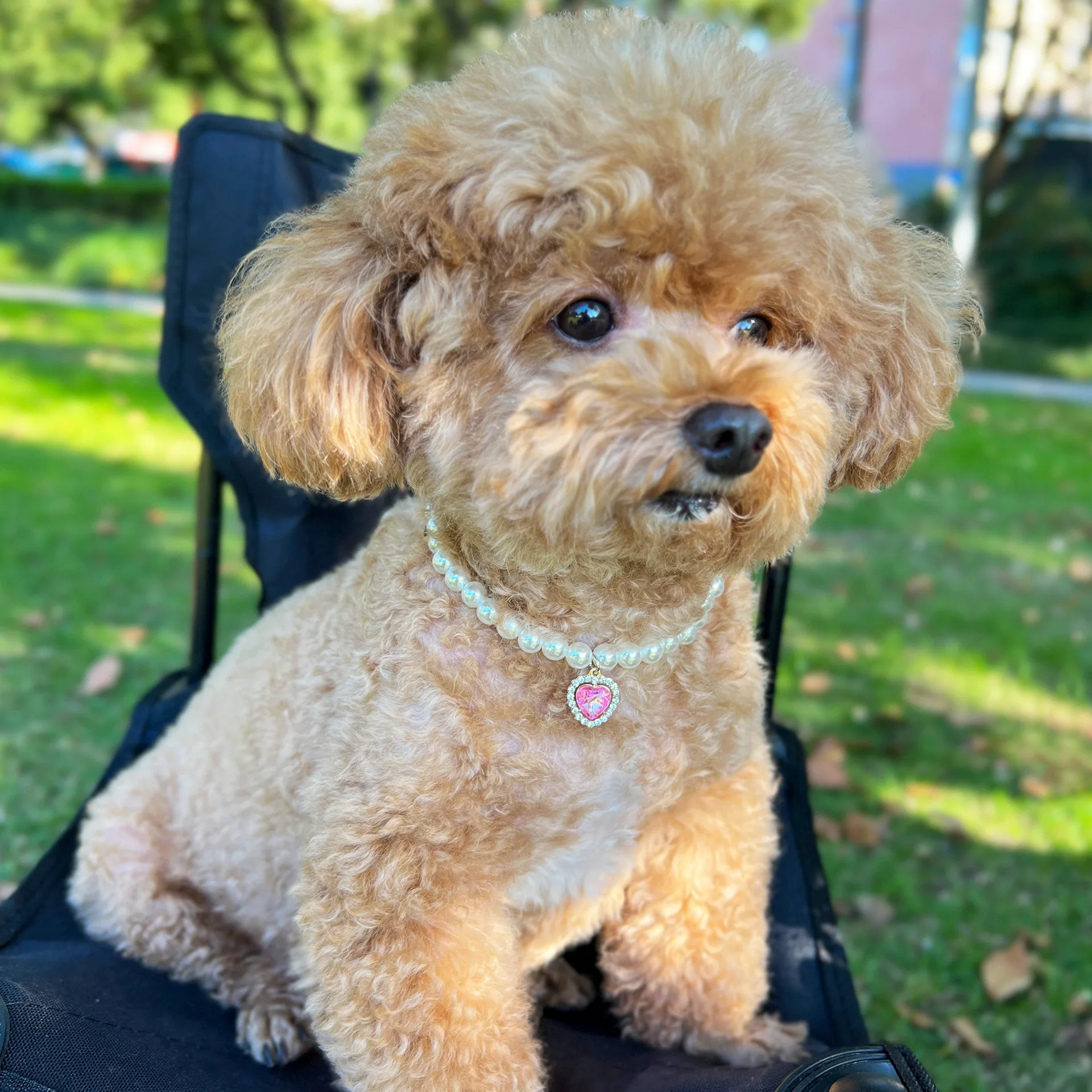 DIY accessories European and American cross-border pet dog pearl accessories, love gemstone pendant necklace cat and dog pendant