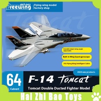 Freewing Flying Wing Model Double 64mm F-14 US Navy \