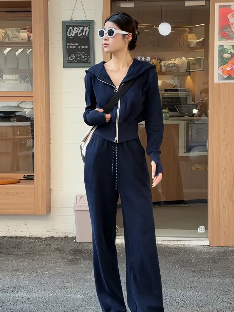 秋冬用パーカーセット レディース カジュアル スポーツウェア クレテ 高級感 韓国風 スタンドバージョン 綿 ポリエステル