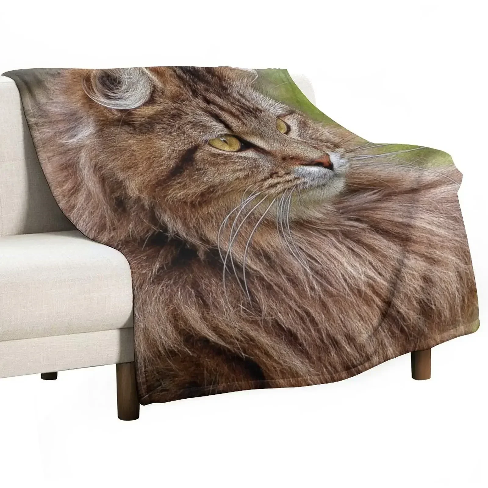 

Maine Coon Cat Artwork Throw Blanket Blankets For Bed Retros for sofa Luxury Designer Blankets