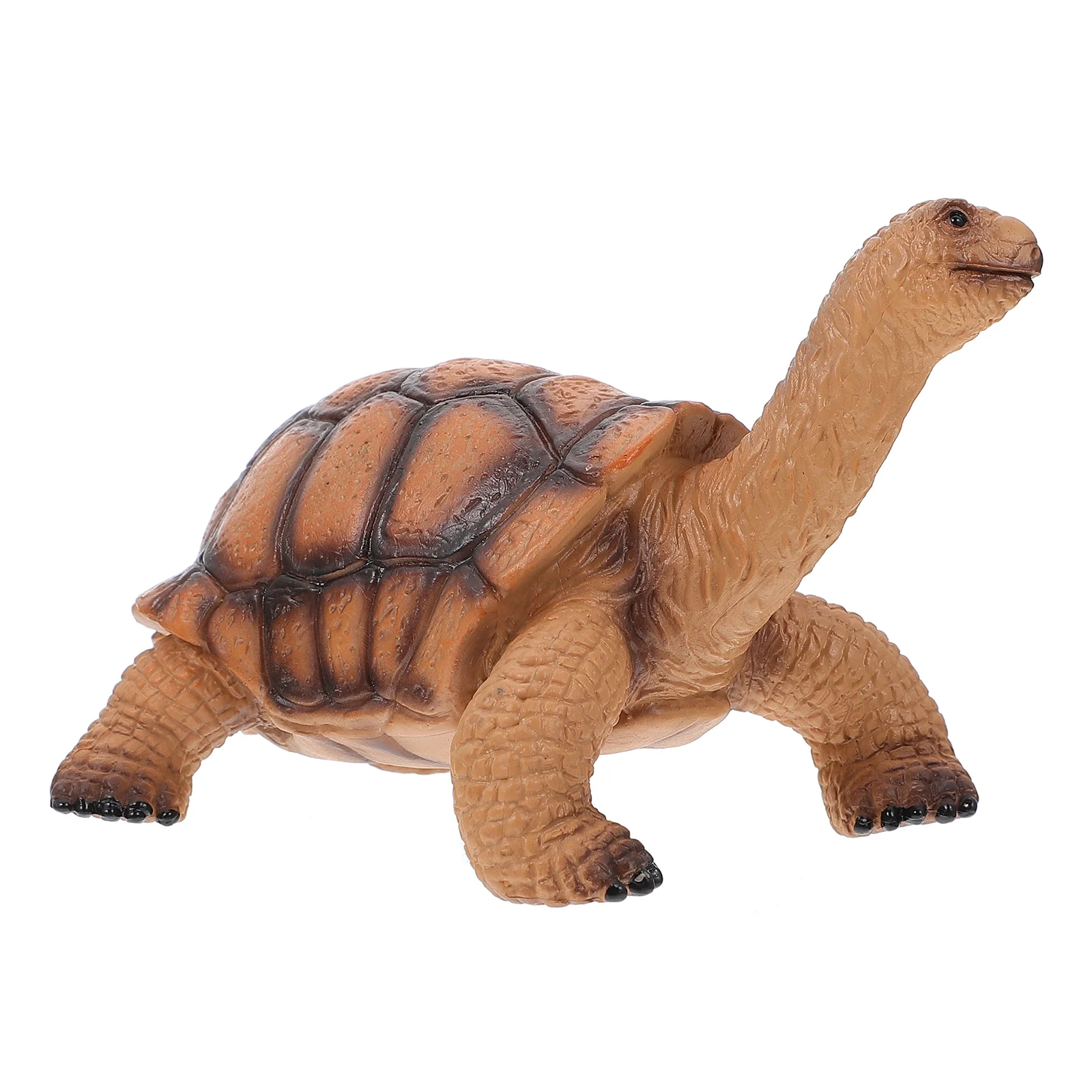 Modèle de tortue en plastique pour enfants, jouets pour enfants, simulation réaliste, animal marin, tortue vive, ornement de bureau, marron