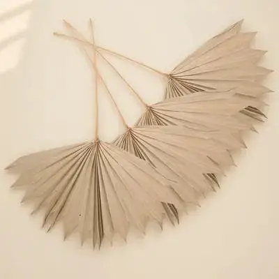 

4Pcs Dry Plant Leaf Decor Dried Palm Leaves Fan for Tropical Wedding Layout DIY Flower Arrangement Photography Prop Festival