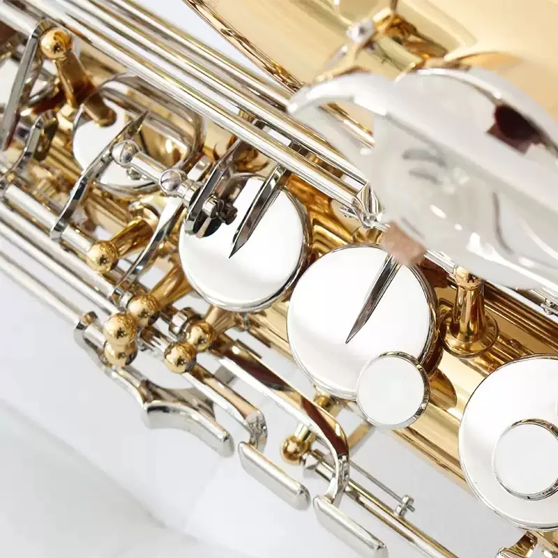 Saxophone, Student Beginner for School Band & Beginner Learning