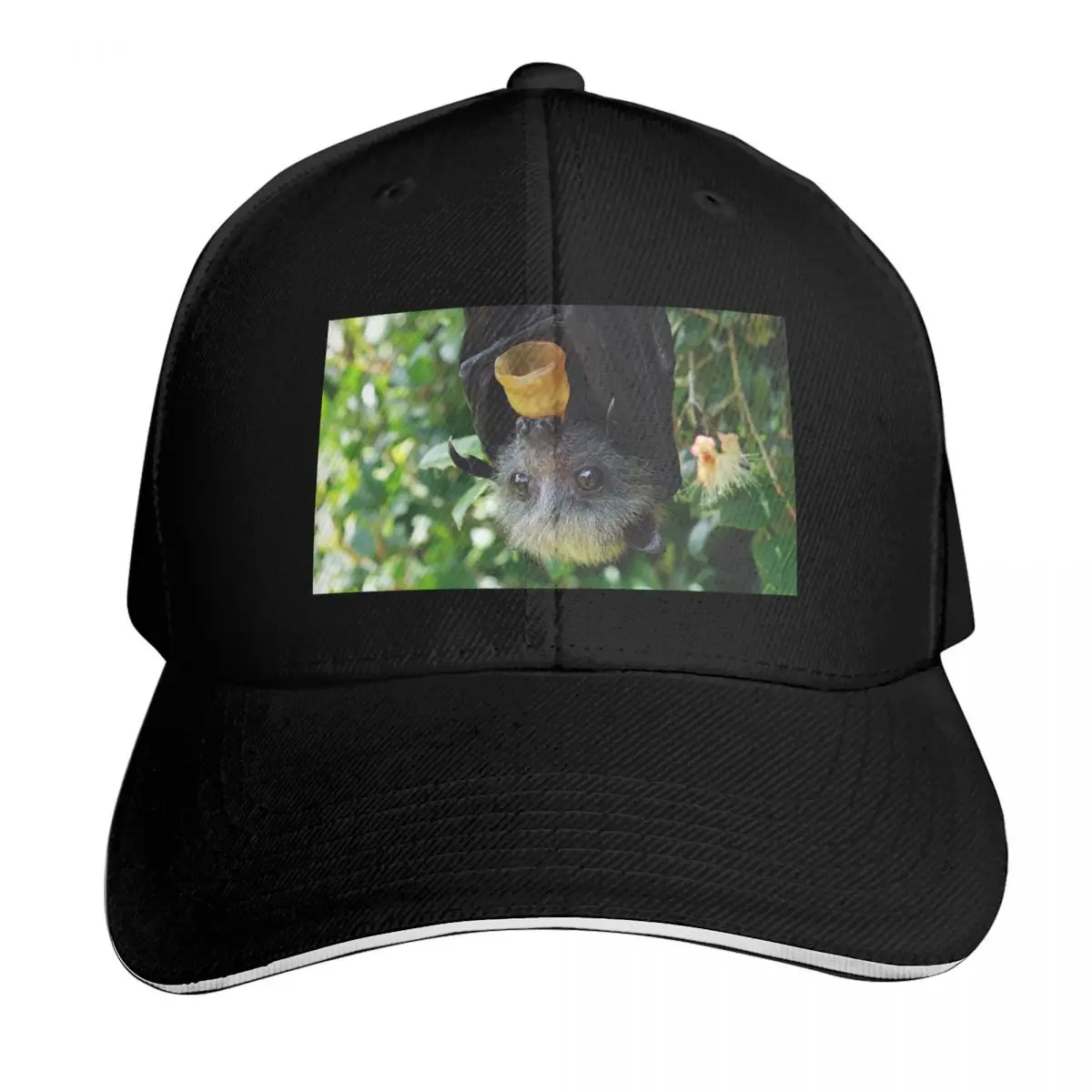 Batzilla - Rescued flying fox bat in tree with pacifier Baseball Cap Men Women Casual Summer Sport Sun Cap