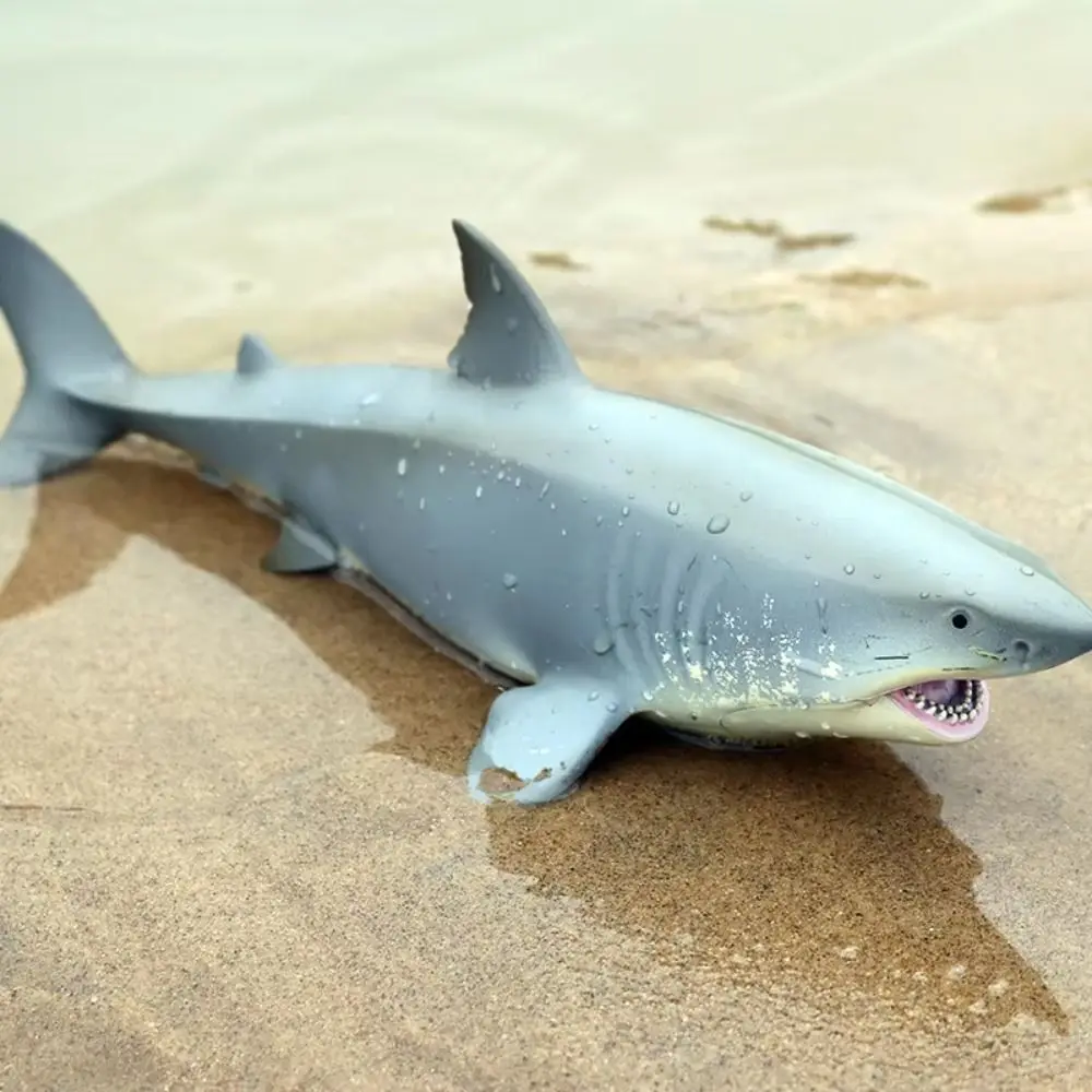 

Plastic Sea Life Animals Model Handmad Realistic Ocean Animals Ornaments Collectible Crafts Simulated Shark Decorations