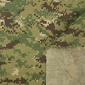 DG3