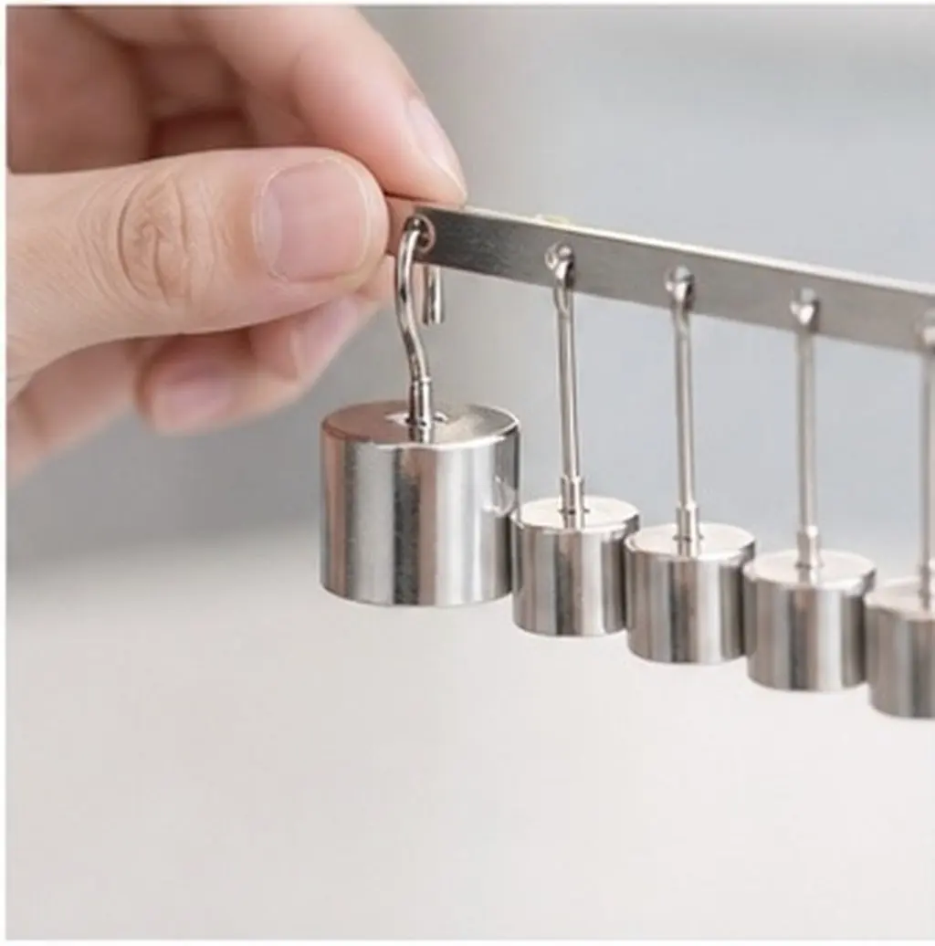 10Pcs Sturdy Iron Hook Weights Physics Experiment Equipment for Classroom Teaching Density Measurement and Studies