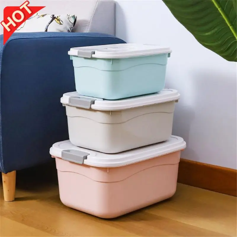 

Plastic Storage Box Sturdy Structure Portable Convenient Plastic Box Durable Easy Storage Durable Plastic Organizer With Lid