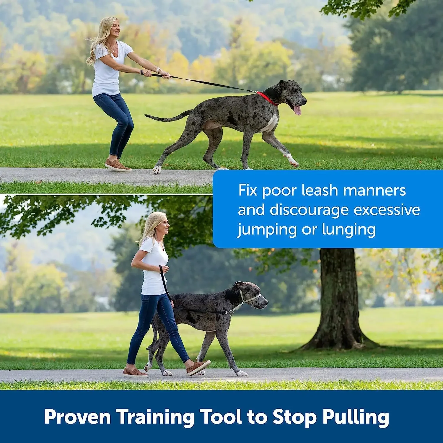 1.5m Adjustable Nylon Dog Muzzle Anti-barking Anti-bite Harness Head Collar Muzzle Dog Halter Training Leash Leader Collar