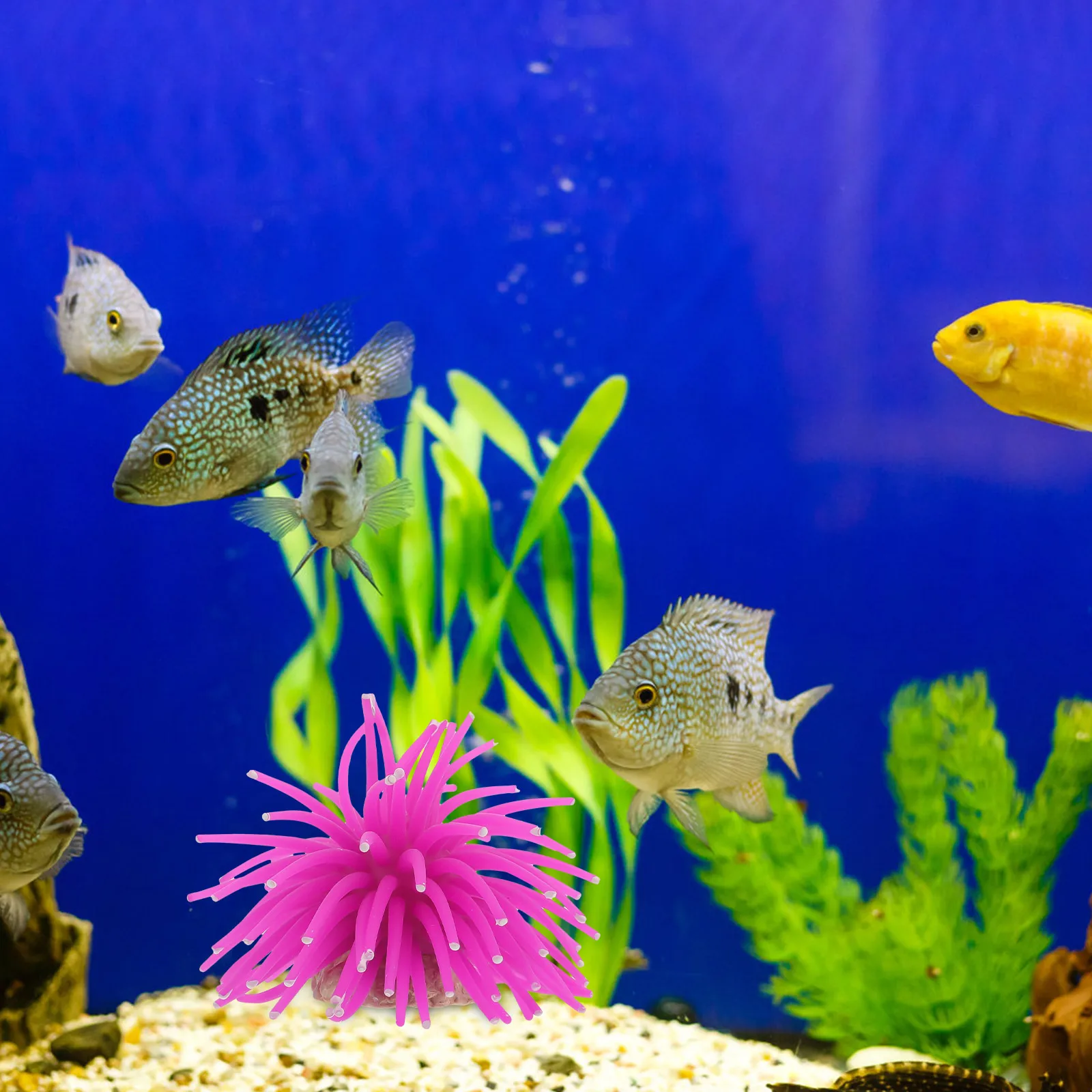 

Simulation Coral Orange Elastic Aquarium Ornament For Fish Tank Landscaping Decoration Vivid Reef Hideout