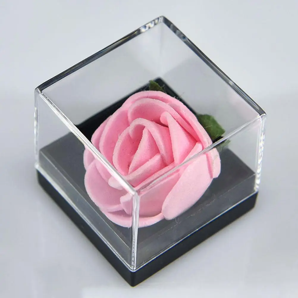

Decorative Storage Boxes with Lids Plastic Display Case Mineral Specimen Containers Belt Clear Stackable Crystals