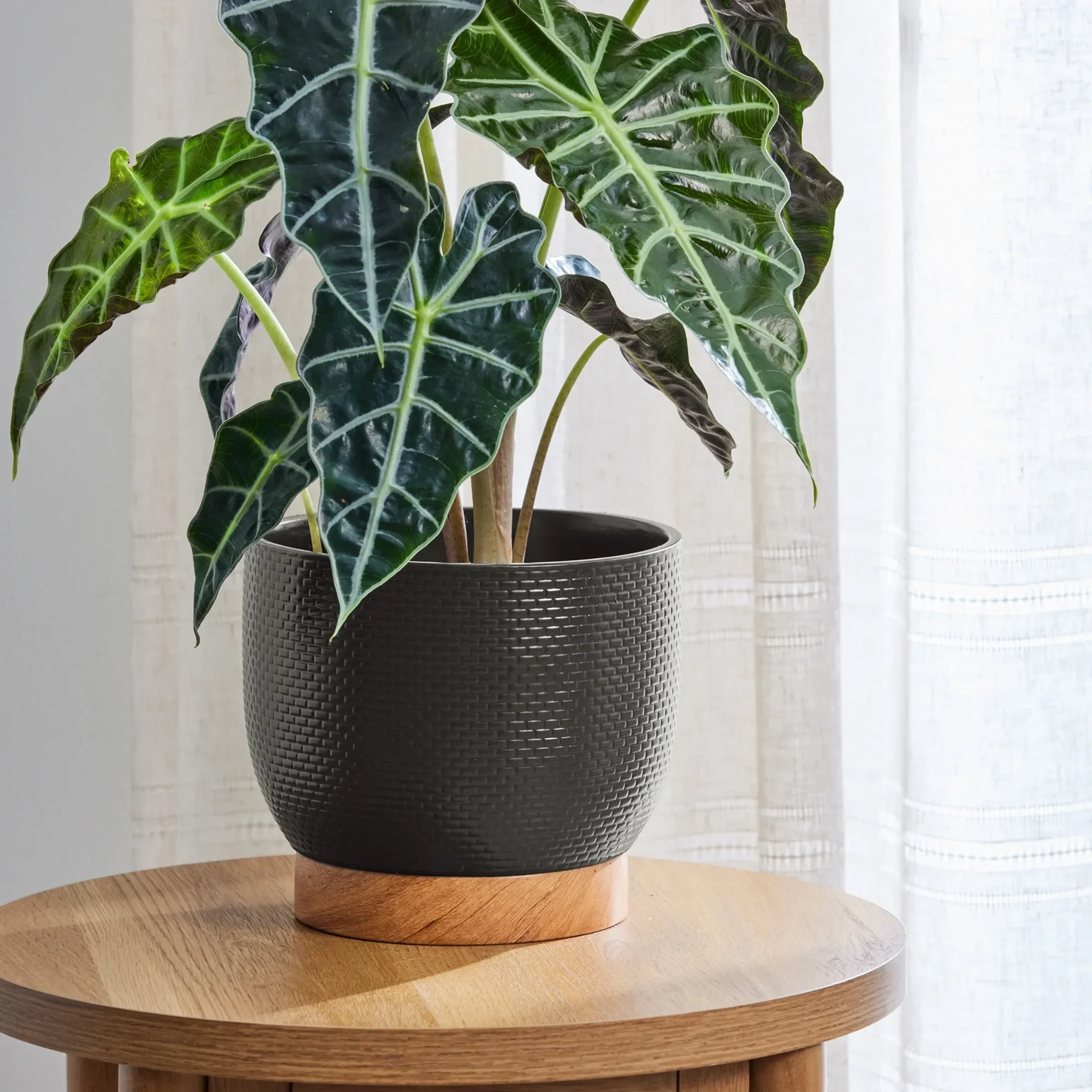 

8-Inch Black Woven Ceramic Planter