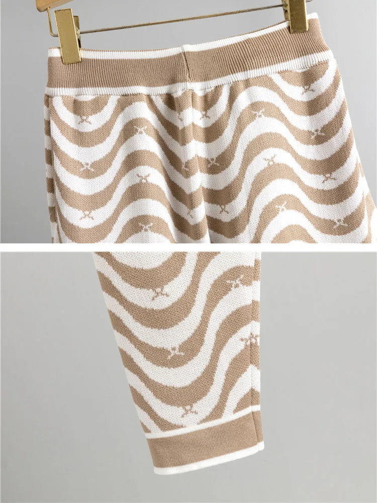 Korean Design Wavy Stripes Knit 2 Piece Sets Women Hooded Knitted Sweater Pullover Tops Outfit High Waist Harem Pants Conjuntos