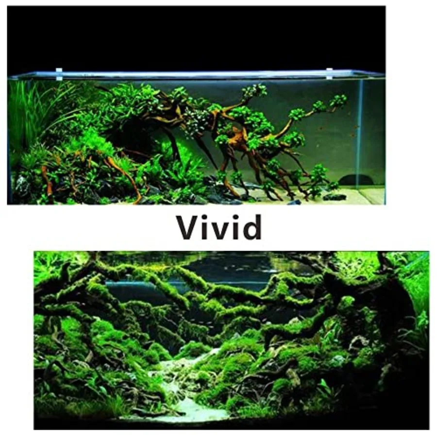 5 قطعة حوض السمك Driftwoods تورال Driftwood خزان الأسماك الزينة الصلبة الزواحف الخشب فروع لخزان الأسماك الأسماك الصغيرة إخفاء