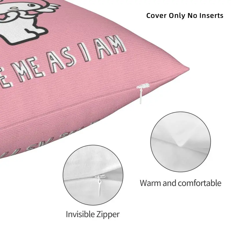 Custom Kuromi Melody Cartoon Cushion Covers Soft Cute Pillow Cases image 3