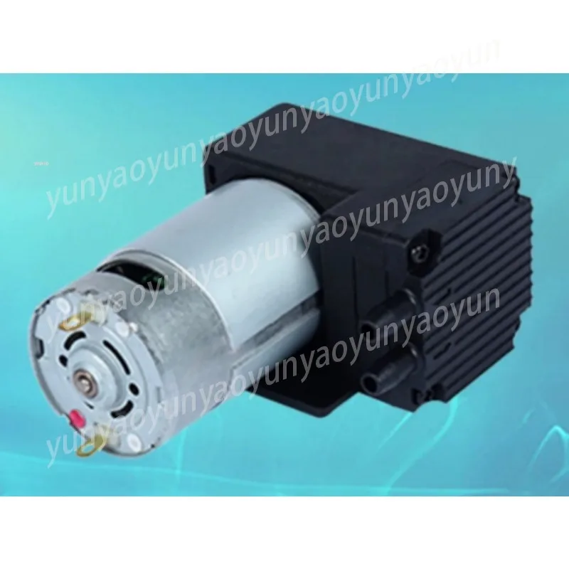 12V 24V Mini Negative Pressure Vacuum Pump Portable Small Air Pump Dual Function Inflation Suction Pneumatic Equipment
