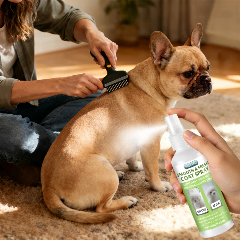 Haustierpflege- und Pflegeprodukte Instant 10-in-1 Kurzhaarspray - Hilft, lose Haare zu glätten, trockenes Haar weicher zu machen und kurze Felle sauber und leicht kämmbar zu halten - Leichtes Spray für einen frischen, natürlichen Glanz ohne fettiges Gefühl - Tägliches Pflegespray speziell für kurzhaarige Hunde entwickelt. – Detail 5