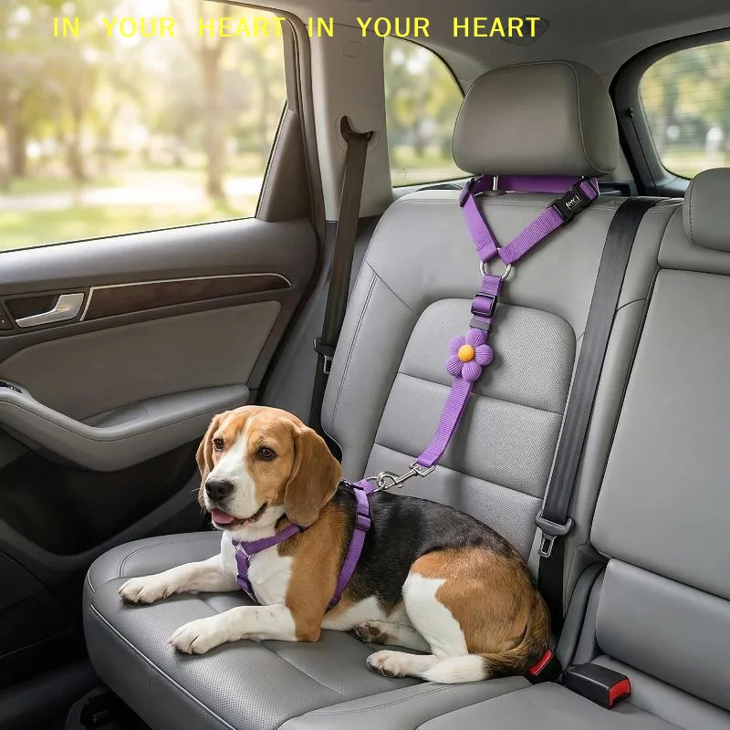 Cinturón de Seguridad para Per - Dog Seat Belt Harness Safety Tether reseña y precio