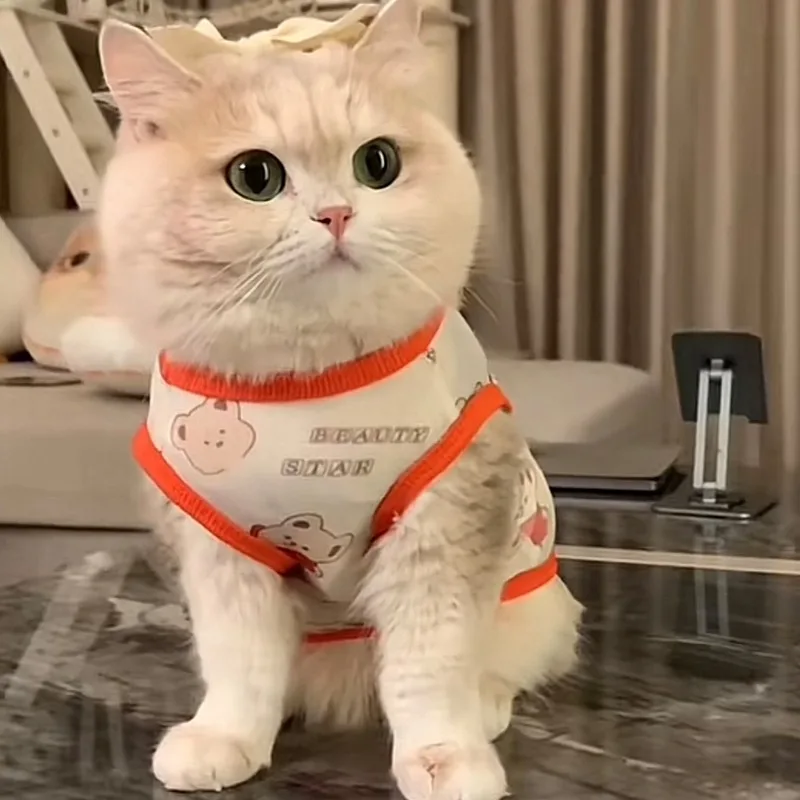 

Pet Vest Spring Summer Cartoon Anti Loose Fur Soft Ventilated Adorable Ins Style Slim Cooling Elastic Kitty Casual Light Outdoor